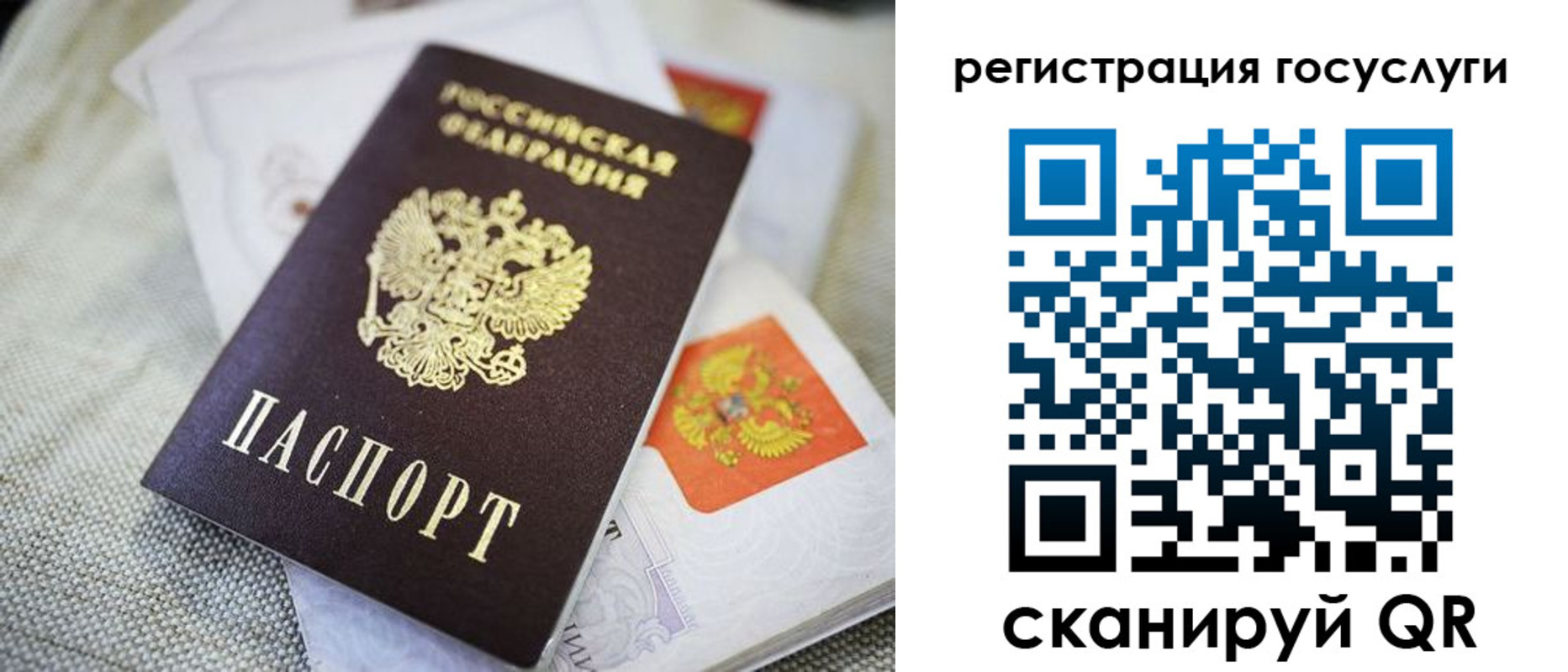 прописка гарантия в Ипатово